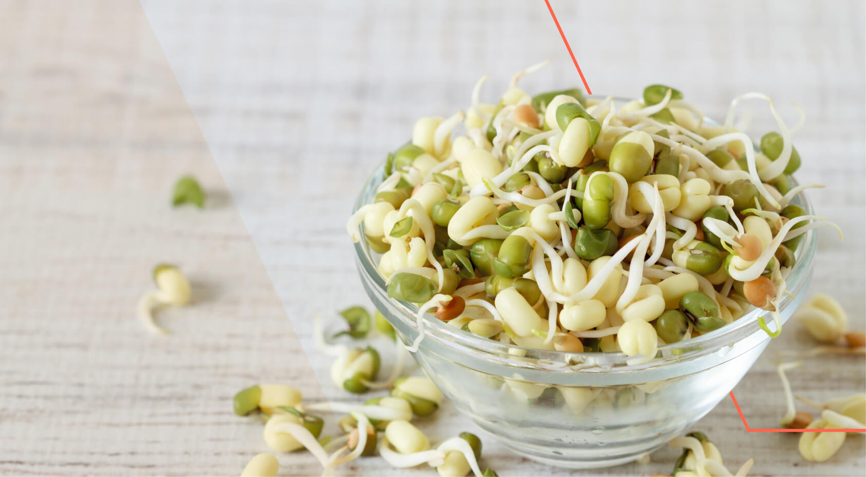 Sprouting Seeds and Nuts: Benefits & Instructions